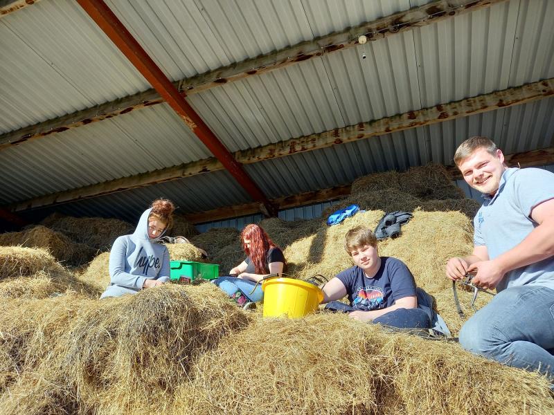 Hay days Mid Wales Countryside