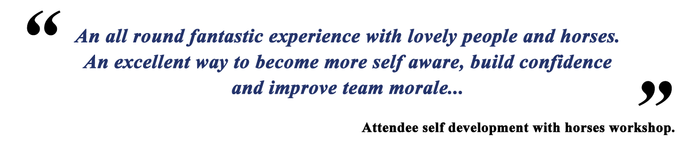 An all round fantastic experience with lovely people and horses. An excellent way to become more self aware, build confidence and improve team morale” – Attendee self development with horses workshop.